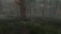 H1Z1 (17)
