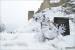 Update vom 01.02.2015 mit frostigen Impressionen (14)