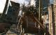 Dying Light 2.560 × 1.600 @ 1.920 × 1.200 (18)