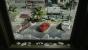 Battlefield Hardline (5)