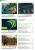 PCGH-Sonderheft "Geforce-Handbuch 2015"