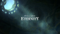 Pillars of Eternity (2)