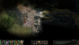 Pillars of Eternity (46)