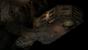 Pillars of Eternity - Oldschool-Rollenspiel mit alter und neuer Hardware getestet (8)
