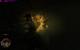Raven's Cry maxed und downsampled (204)