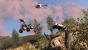 GTA 5 PC vor Release: Preload, Geforce- und Radeon-Treiber, Day 1 Patch - Das sollte man wissen (5)