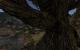 Gothic 2 (+ Die Nacht des Raben) goes Direct 3D 11 (23)