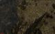 Gothic 2 (+ Die Nacht des Raben) goes Direct 3D 11 (24)
