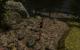 Gothic 2 (+ Die Nacht des Raben) goes Direct 3D 11 (39)