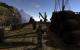 Gothic 2 (+ Die Nacht des Raben) goes Direct 3D 11 (46)