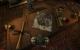 Gothic 2 (+ Die Nacht des Raben) goes Direct 3D 11 (3)