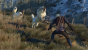 The Witcher 3: Wild Hunt - These animals can rip you apart in seconds if you're not careful