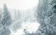 Dirt Rally: Technischer Ersteindruck (26)