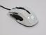 Epic Gear Gekkota - Ein perfekter Spielpartner dank symmetrischer Form und umfangreicher Software? (1)