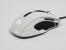 Epic Gear Gekkota - Ein perfekter Spielpartner dank symmetrischer Form und umfangreicher Software? (8)