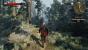 The Witcher 3: Drei neue Screenshots zeigen Umgebungsatmosphäre (3)