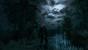 The Witcher 3 PCGH-Enthusiast (Hoch) (1)