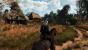The Witcher 3 PCGH-Enthusiast (Hoch) (5)