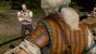 The Witcher 3 (11)