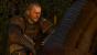 The Witcher 3 (21)