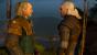 The Witcher 3 (24)