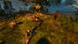 The Witcher 3 (27)