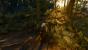 The Witcher 3 (35)