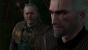 The Witcher 3 (36)