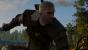 The Witcher 3 (37)