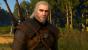 The Witcher 3 (38)