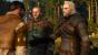 The Witcher 3 (39)