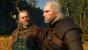 The Witcher 3 (40)