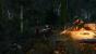 The Witcher 3 (43)