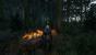 The Witcher 3 (44)