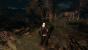The Witcher 3 PCGH-Enthusiast (Hoch) (45)