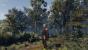 The Witcher 3 (47)
