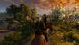 The Witcher 3 - Rechts nicht im Bild: Der fehlende Grashalm.