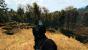 The Witcher 3 PCGH-Enthusiast (Hoch) (51)