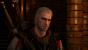The Witcher 3 (52)