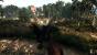 The Witcher 3 PCGH-Enthusiast (Hoch) (55)