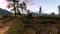 The Witcher 3 PCGH-Enthusiast (Hoch) (69)