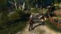 The Witcher 3 - Bilder aus den ersten Spielstunden (46)