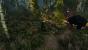 The Witcher 3 - Bilder aus den ersten Spielstunden (75)