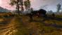 The Witcher 3 - Bilder aus den ersten Spielstunden (90)