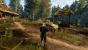 The Witcher 3 - Bilder aus den ersten Spielstunden (104)