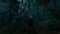 The Witcher 3 - Bilder aus den ersten Spielstunden (111)