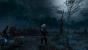 The Witcher 3 - Bilder aus den ersten Spielstunden (146)