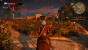Witcher 3 v1.03 Sharness Low