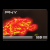 PNY CS2111