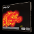PNY CS2111